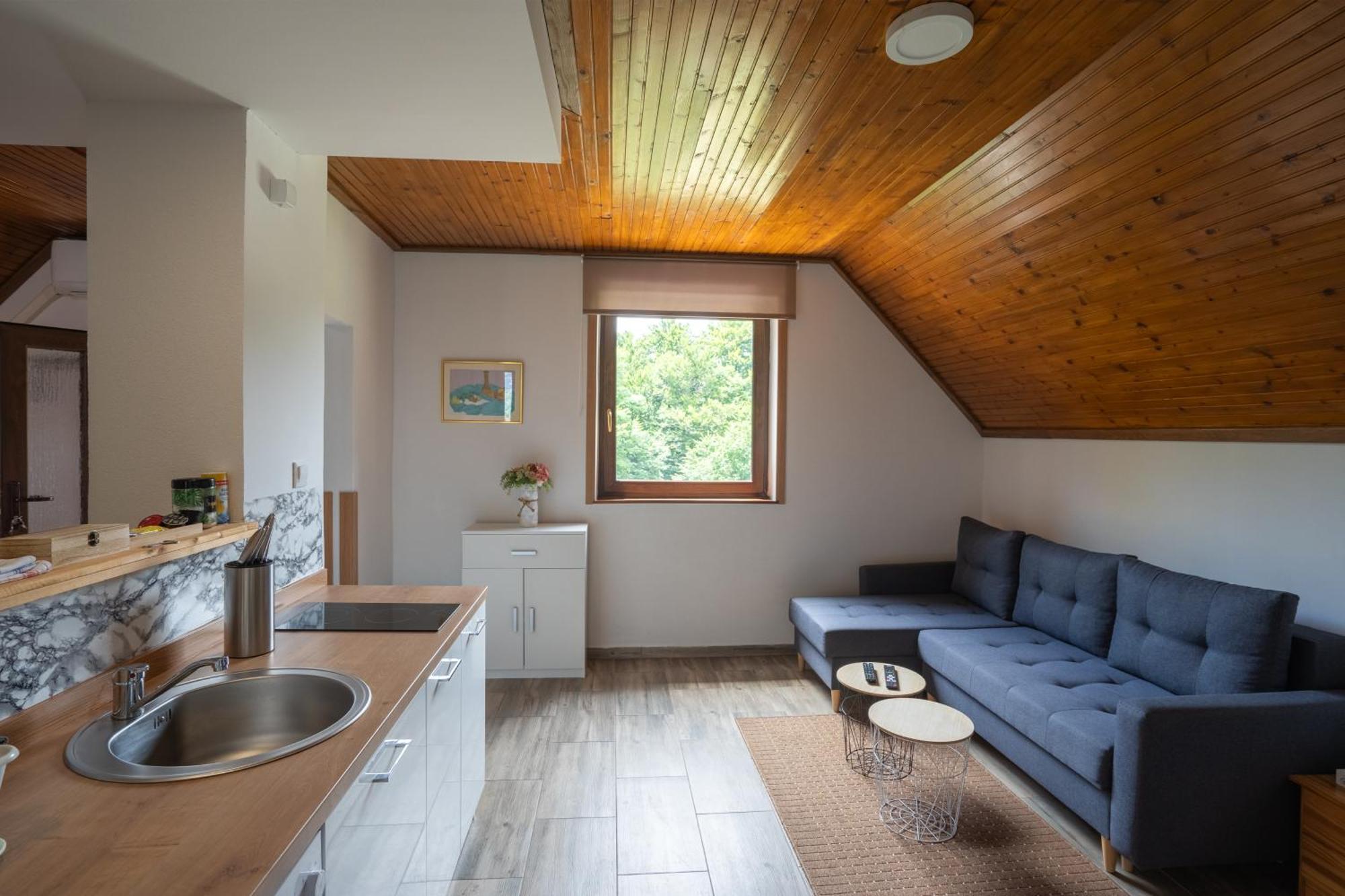 Apartment Ivanka Rastovača المظهر الخارجي الصورة